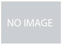 64. Գաբրիելյան Գեորգի Ֆելիքսի