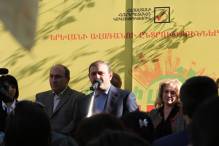 Նախընտրական հանդիպումներ Շենգավիթ վարչական շրջանում