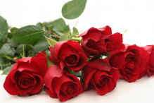 Տարոն Մարգարյանի շնորհավորական խոսքը մայրության և գեղեցկության տոնի առթիվ